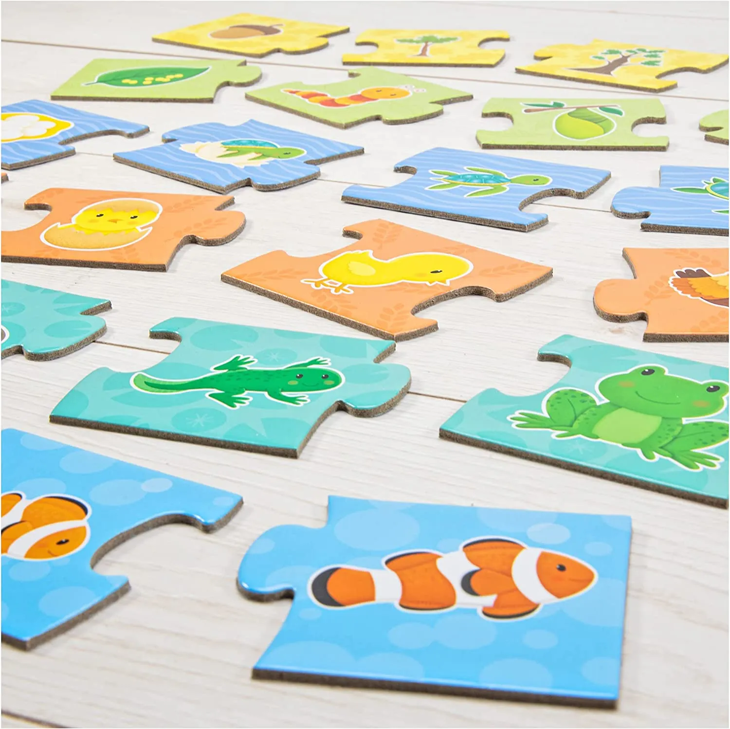 GALT 1005365 How Things Grow Puzzles