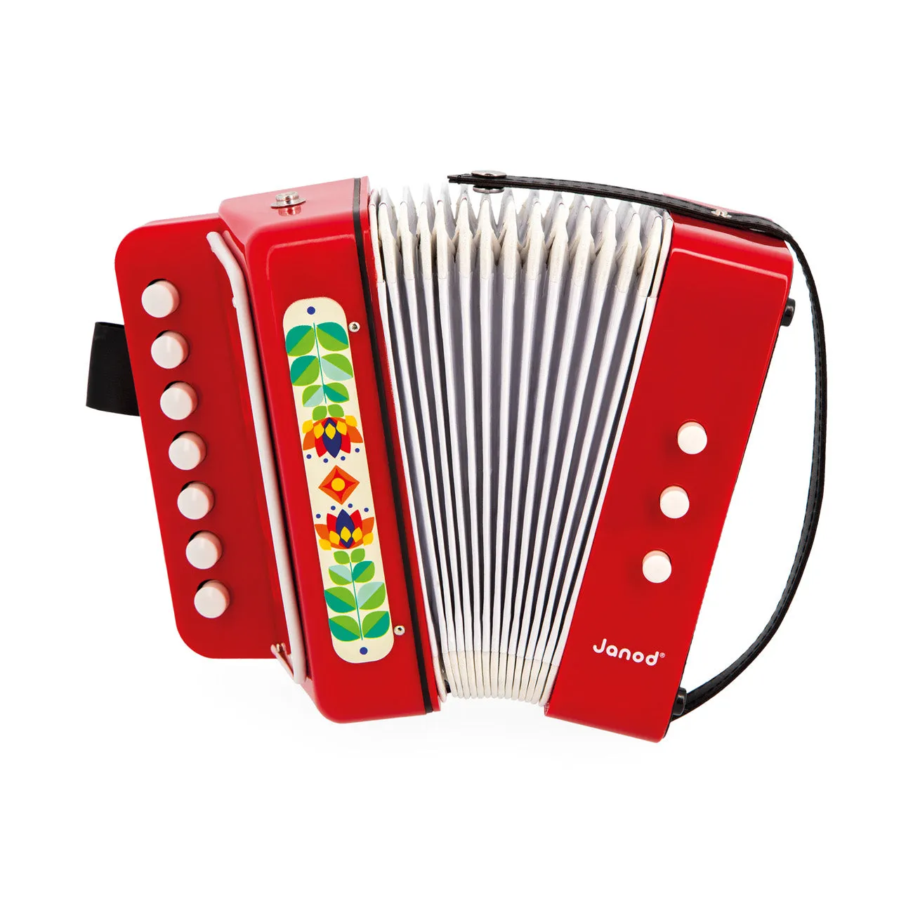 Janod Gioia - Accordeon