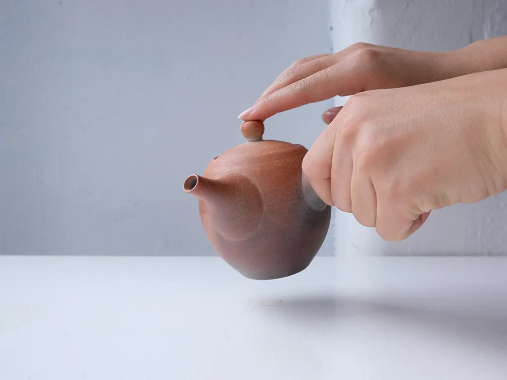 Kyūsu Tea Pot by Hiroshi Kikuchi