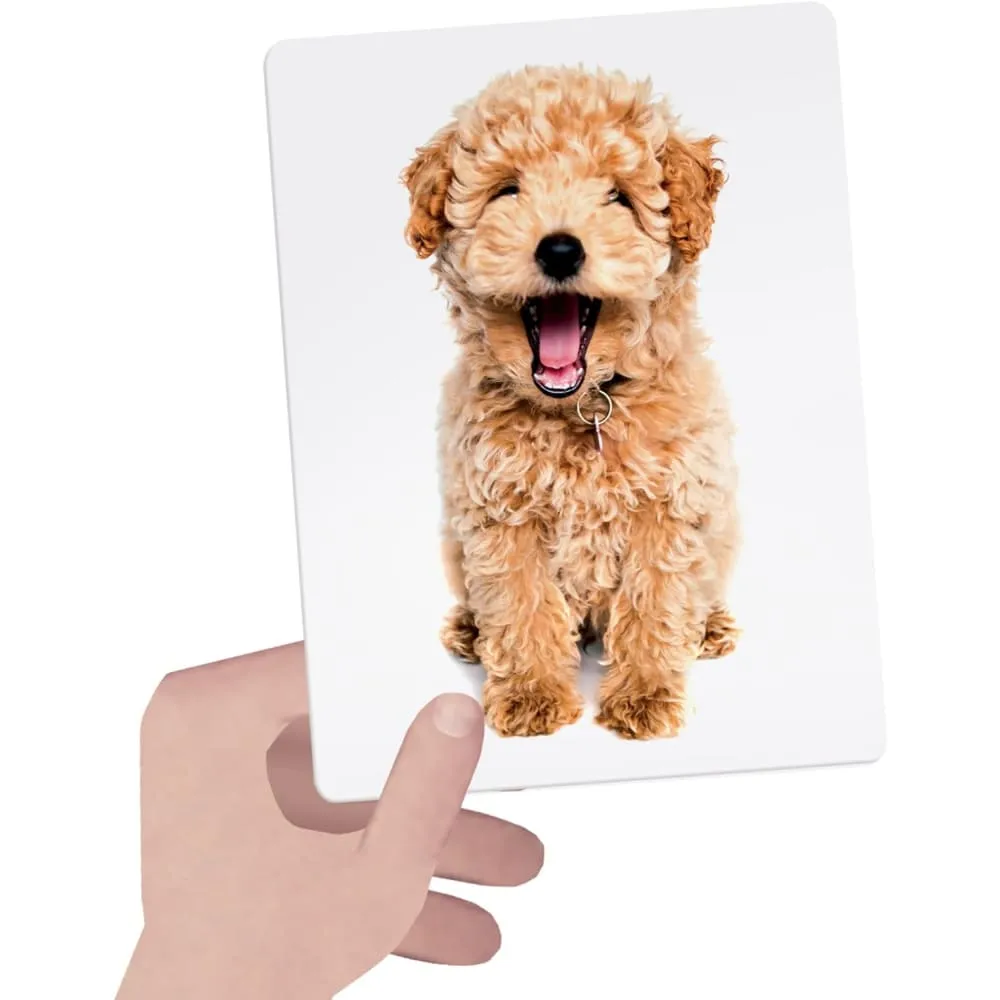 Montessori Tactile Flashcards