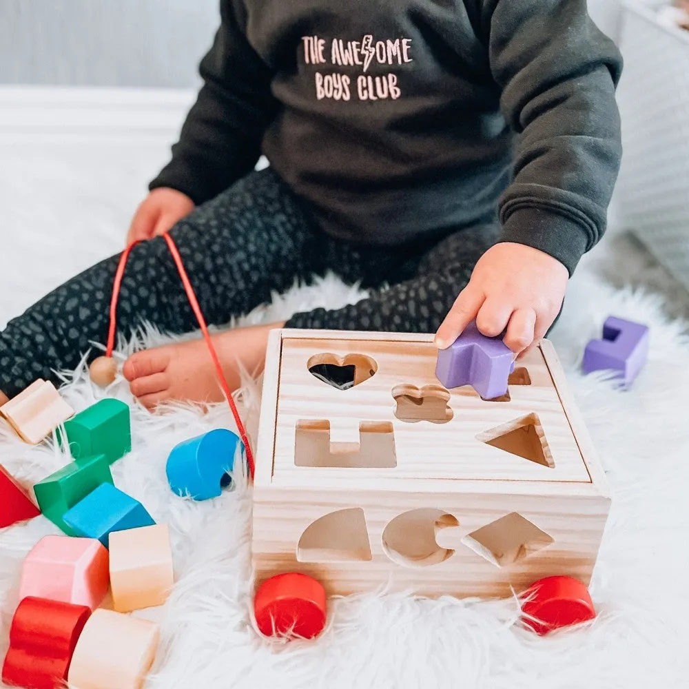 Shape Sorter - Shape Sorting Toy