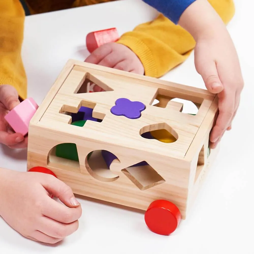 Shape Sorter - Shape Sorting Toy