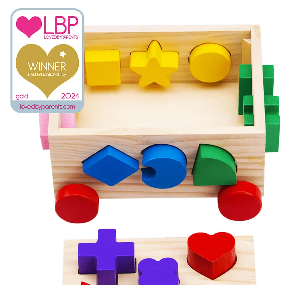Shape Sorter - Shape Sorting Toy