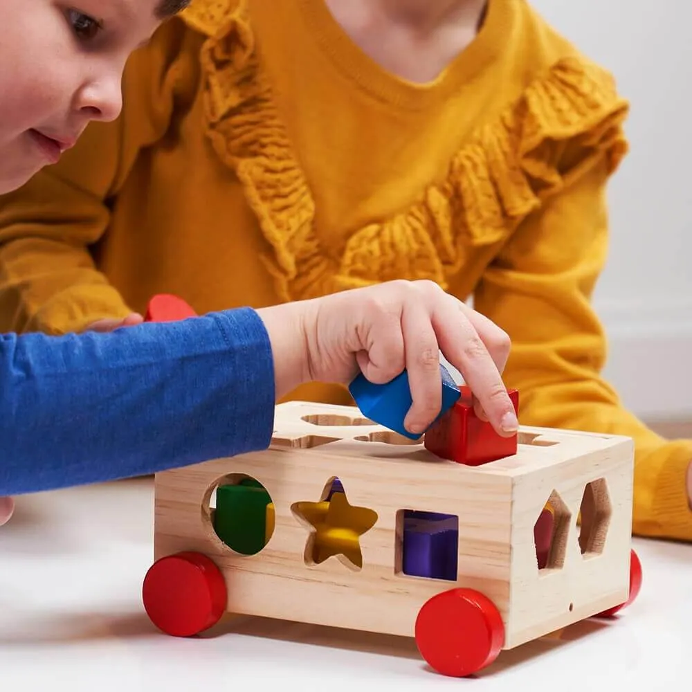 Shape Sorter - Shape Sorting Toy