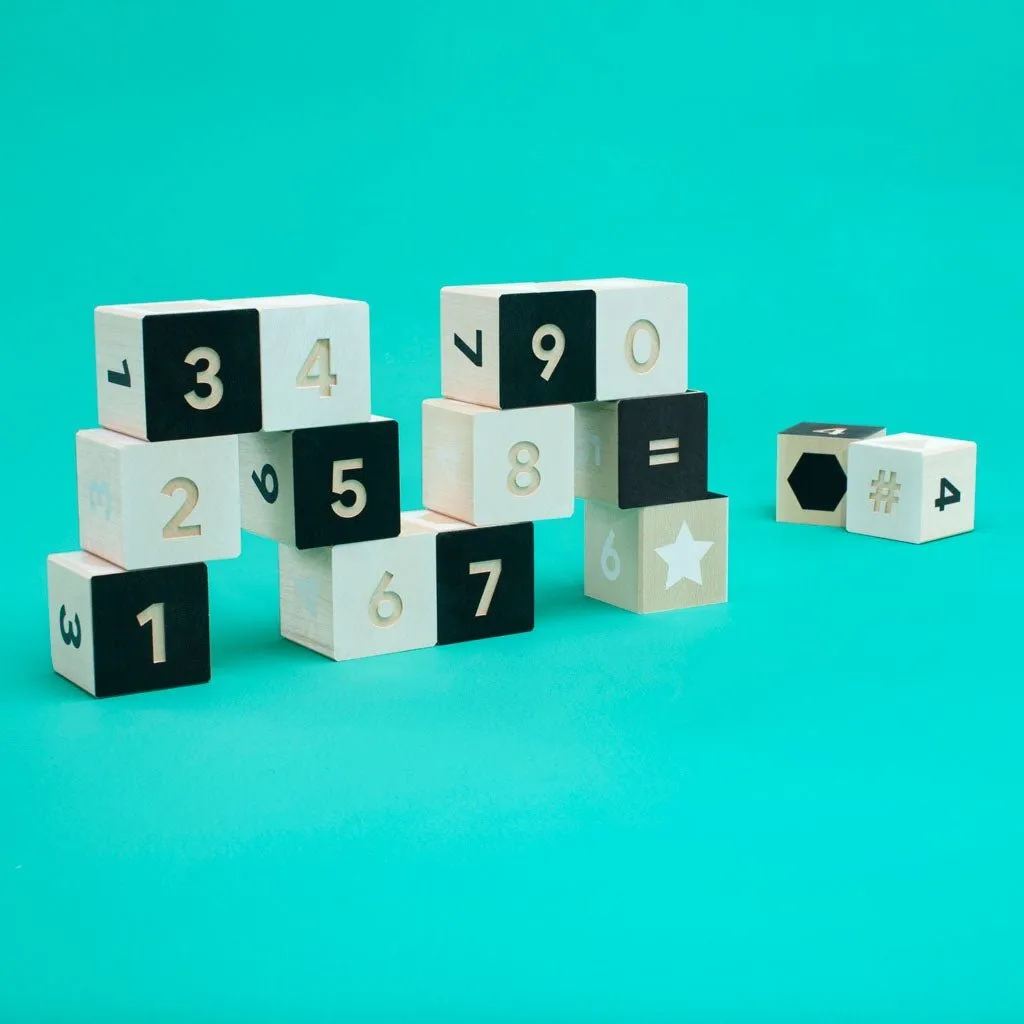 Tonet Black and White Number Wooden Blocks